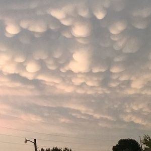 Meet your Posher, Leonna